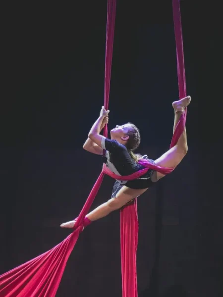 aerial-silks-pose