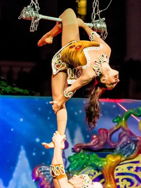 aerial-trapeze-static-pose